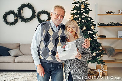 Celebrating new year. Senior man and woman is together at home Stock Photo