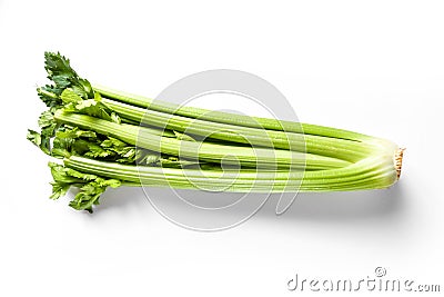 Celery branch bunch isolated on white Stock Photo