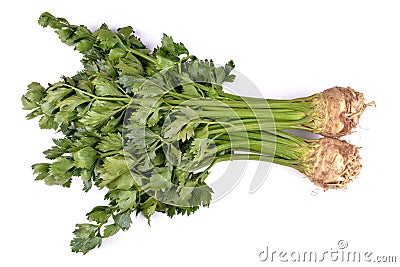 celery Stock Photo