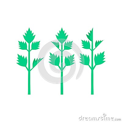 Celery leaves on white background Vector Illustration