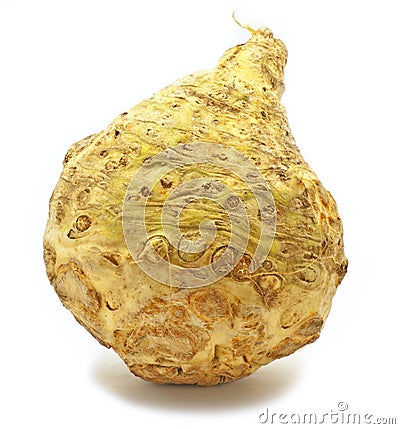 Celery root Stock Photo