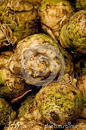 Celery Root Stock Photo