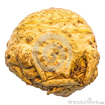 Celery root close-up 3d rendering with realistic texture Stock Photo