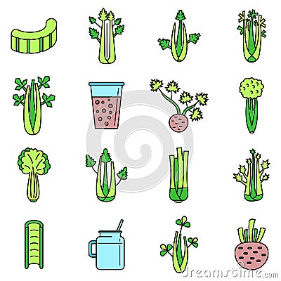 Celery salad icons set vector color Vector Illustration