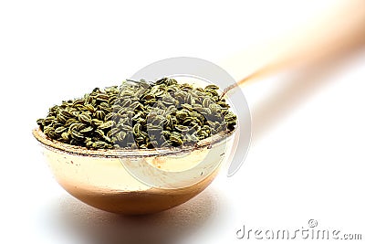 Celery Seed Stock Photo