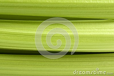 Celery stalks Stock Photo