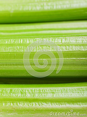 Celery stems Stock Photo