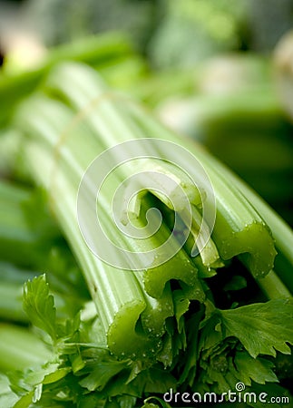 Celery Stems Stock Photo