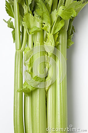 Celery stems and leaves Stock Photo