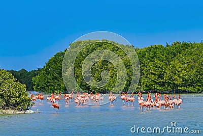 Celestun Biosphere Reserve, Mexico Stock Photo