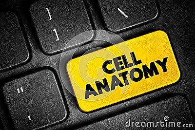 Cell anatomy - consists of three parts: the cell membrane, the nucleus, and, between the two, the cytoplasm, text button on Stock Photo