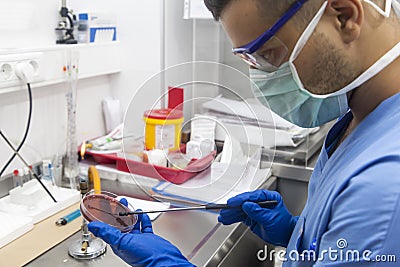 Cell culture test in medical laboratory Stock Photo