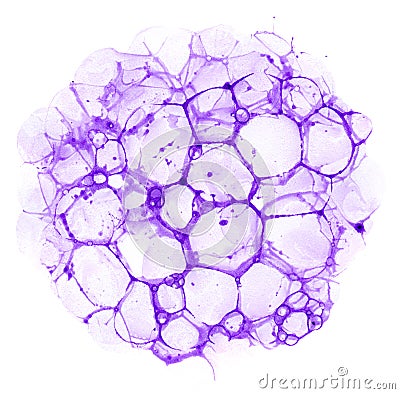 Cell Design Stock Photo