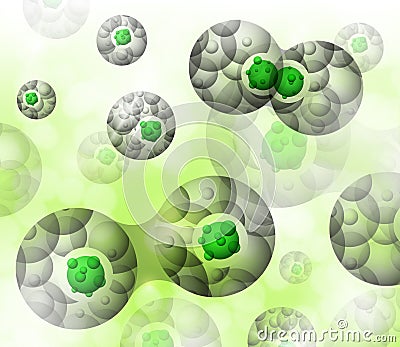 Cell division Vector Illustration