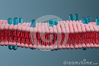 Cell membrane and biology, biological concept, 3d rendering Stock Photo