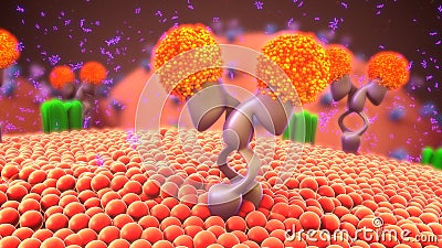 Cell membrane receptors Stock Photo