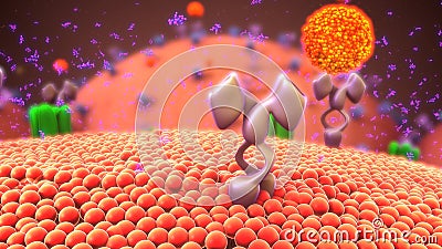 Cell membrane receptors Stock Photo