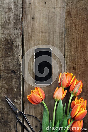 Cell Phone and Tulips Stock Photo