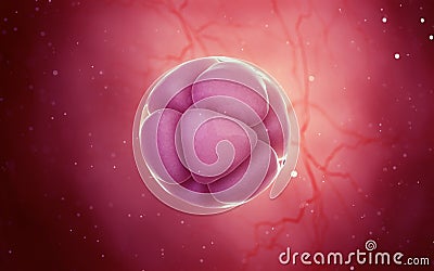 A 8 cell stage egg cell Cartoon Illustration