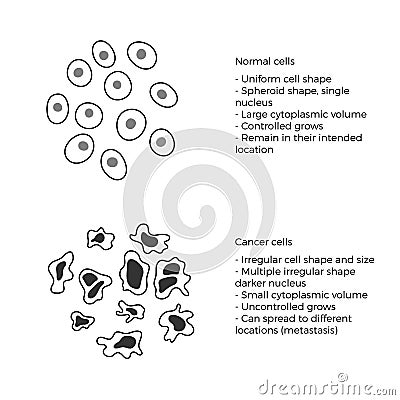 Cell structure: normal and cancer Vector Illustration