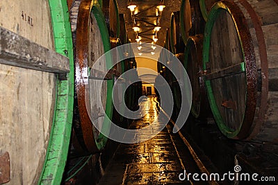 Maturing beer in wooden kegs Editorial Stock Photo