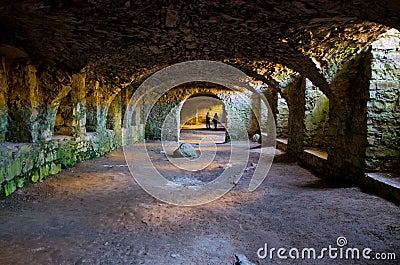Cellar of ruined Krzyztopor castle, Poland Stock Photo