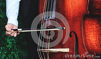 Cello player with focus on the hand, close up picture. Musician playing bass violoncello. Cellist hands playing orchestra music. Stock Photo