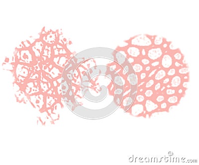 Human or Animal Cells - Digital Art Vector Illustration