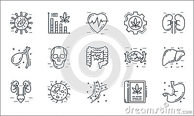 cells organs and medical line icons. linear set. quality vector line set such as stomach, artery, kidneys, herbalism, ovum, Vector Illustration