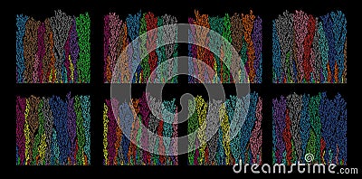Cellular Automaton Diffusion-Limited Aggregation Structures Set Stock Photo