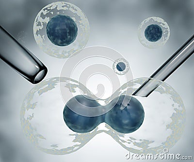propagating biological cells with syringe and pipette Stock Photo