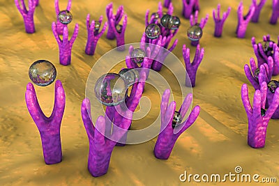 Cellular membrane with receptors Stock Photo