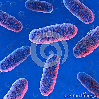 Cellular organelle mitochondria. Cartoon Illustration