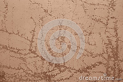Cement background with dried plant Stock Photo