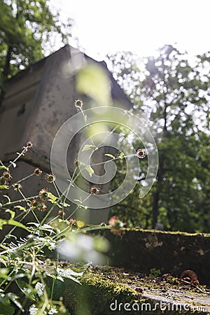 Cemetery memory and nostalgy Stock Photo