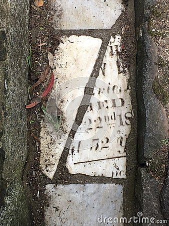 Gravestone reclaimed, 13. Stock Photo