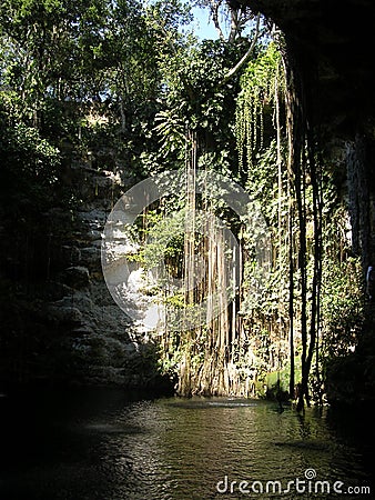 Cenote Stock Photo