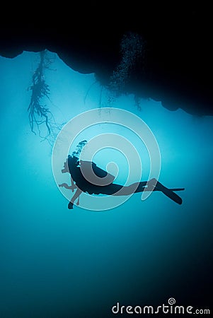 Diving in Cenote Angelita, Mexico Stock Photo