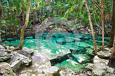 Cenote Azul small lake in Yucatan, Mexico. Stock Photo