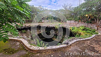 Cenote, Cancun, Mexico, sink hole, Stock Photo