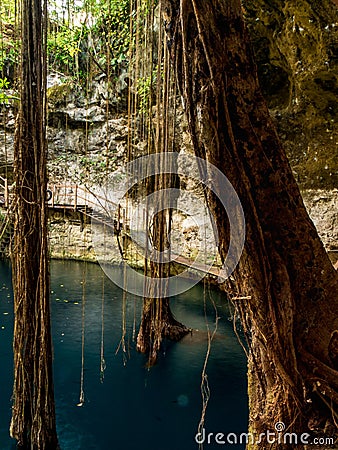 Cenote Ek Balam Stock Photo