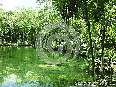 Cenote Riviera Maya jungle mayan Quintana Roo Stock Photo