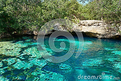 Cenote in Riviera Maya of Mayan Mexico Stock Photo