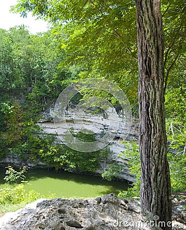 Cenote sink hole Stock Photo