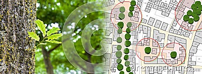 Census of singol, group or row trees in cities - green management and tree mapping concept with imaginary city map Stock Photo