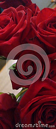 Center piece red rose heart love heart break Stock Photo