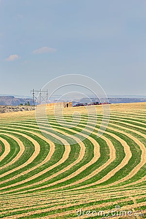 Center pivot irrigated farm field Stock Photo