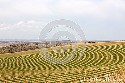 Center pivot irrigated farm Stock Photo