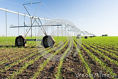 Center pivot irrigation system Stock Photo