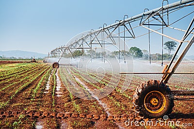 Center pivot sprinkler system watering corn shoots Stock Photo